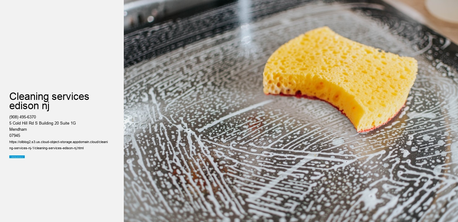 cleaning services edison nj