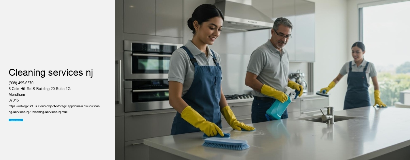 cleaning services nj